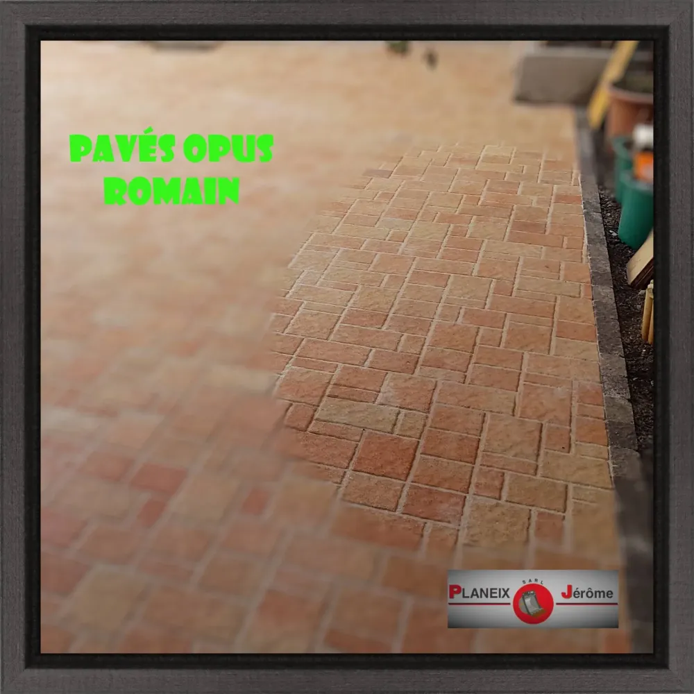 Pavéswebp